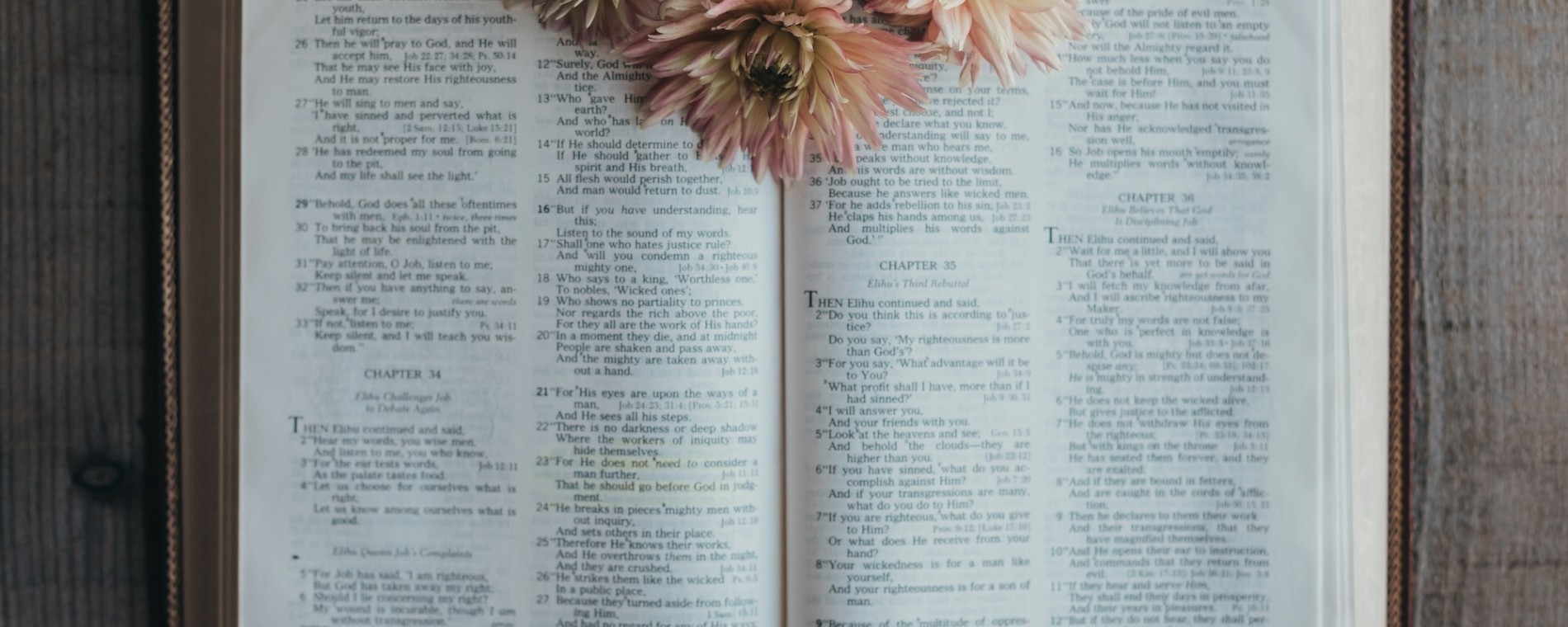 Dámská skupinka na Šeberově