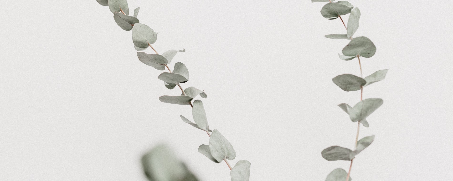 Effatha na Smíchově