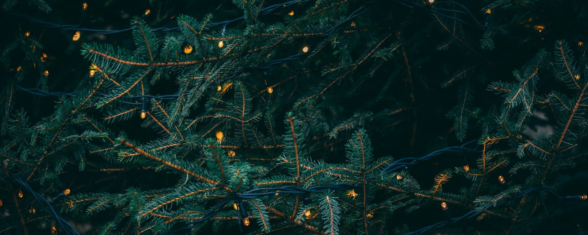 Připravte srdce na příchod Krále